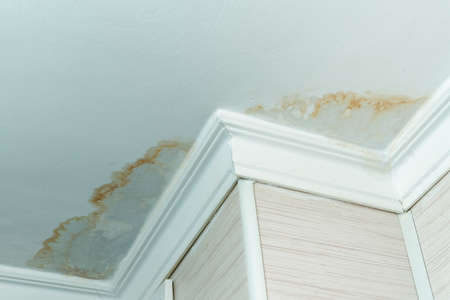 Recherche de fuites non destructive